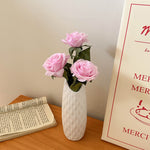 Tulip Vase – Modern Ceramic White Vase for Living Room Decor | All Homes